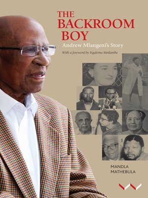 cover image of The Backroom Boy